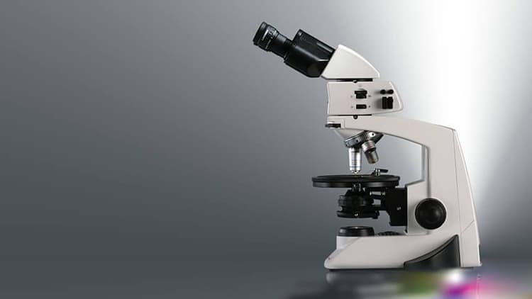 Labomed Lx POL Polarizing Microscope
