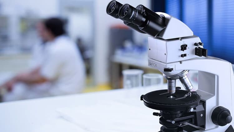 Labomed Lx POL Polarizing Microscope