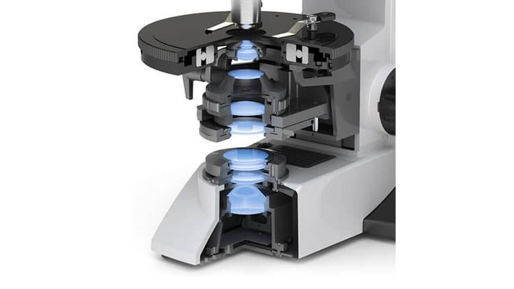 Labomed Lx POL Polarizing Microscope MaxLite™ Lenses Cutaway